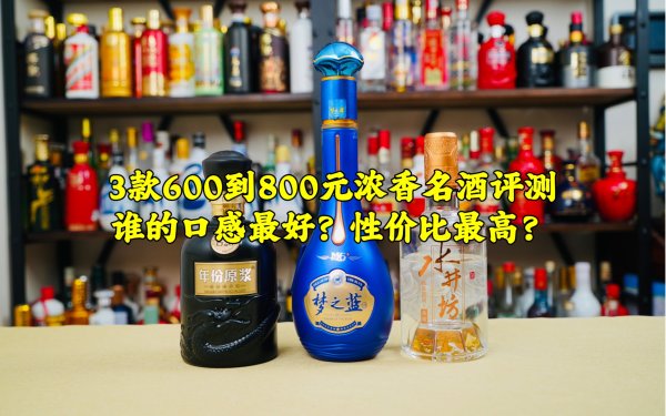 swellfun 水井坊第一坊酒典藏大师版金狮装53%vol 浓香型白酒500ml 单