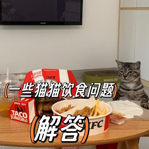 一些猫饮食方面问题的解答，看看你有没有这样的疑问