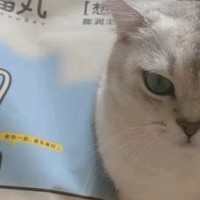 撸宠猫砂体验分享：猫咪的卫生新选择