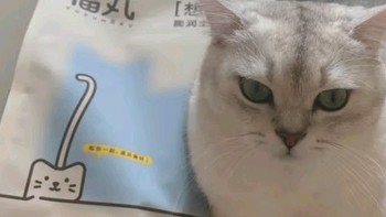 撸宠猫砂体验分享：猫咪的卫生新选择