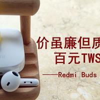 价虽廉但质仍优，百元TWS的守门将——Redmi Buds 6活力版浅体验