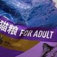 全价猫粮如何选择？—— 宠物主人的购买指南