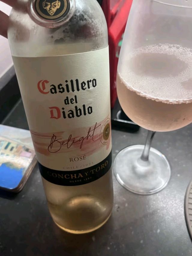 干露酒厂：智利酿酒传奇