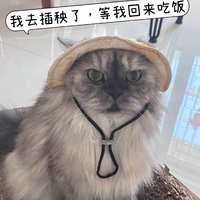 佛靠金装，喵靠衣装，又有新帽子戴啦