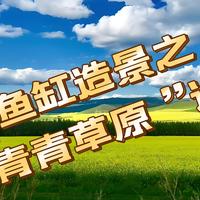 鱼缸造景：手工党意识流造景之「青青草原计划」