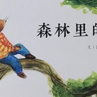 时光流转，一年四季，森林里的一年可真美