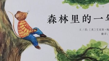 时光流转，一年四季，森林里的一年可真美