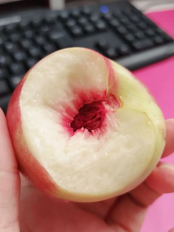 离核的脆甜桃子