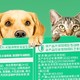 京东京造 猫咪狗狗复合益生菌粉：守护宠物肠胃健康