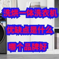 洗烘一体机的优缺点是什么？哪个品牌好？2024年最建议这三款！