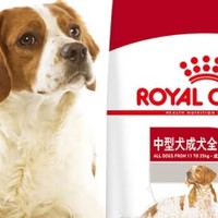 皇家狗粮M25：中型成犬的全面呵护与营养方案