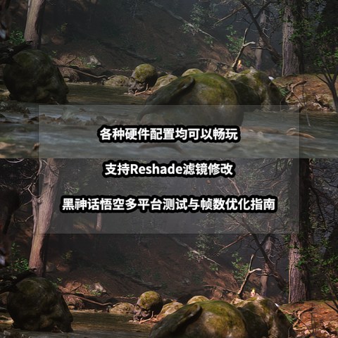 各种硬件配置均可以畅玩丨黑神话悟空多平台测试与帧数优化指南