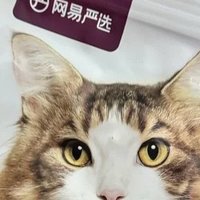 网易严选全价冻干双拼猫粮：爱宠的味蕾盛宴与健康守护者