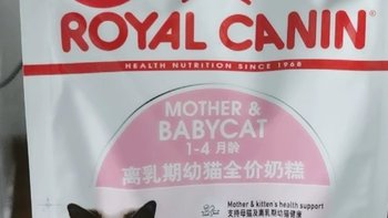 皇家猫粮通用幼猫粮奶糕：幼猫成长的营养守护者