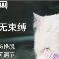 猫咪也能遛？这款牵引绳让爱宠秒变时尚达人！