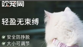 猫咪也能遛？这款牵引绳让爱宠秒变时尚达人！