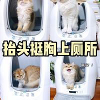 猫砂盆采用大开口设计