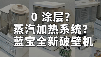 全玻璃0 涂层？蒸汽加热系统？蓝宝 2024 全新蒸汽破壁机能不能打？