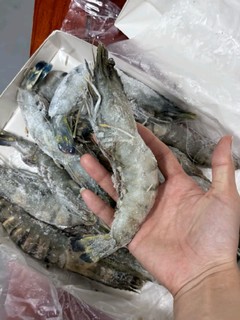 🦐海鲜控大福利来啦！鲜京采黑虎虾，让你秒变料理小能手✨