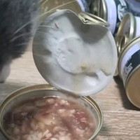 猫咪美食盛宴！希宝泰国进口猫罐头，24种口味一网打尽！