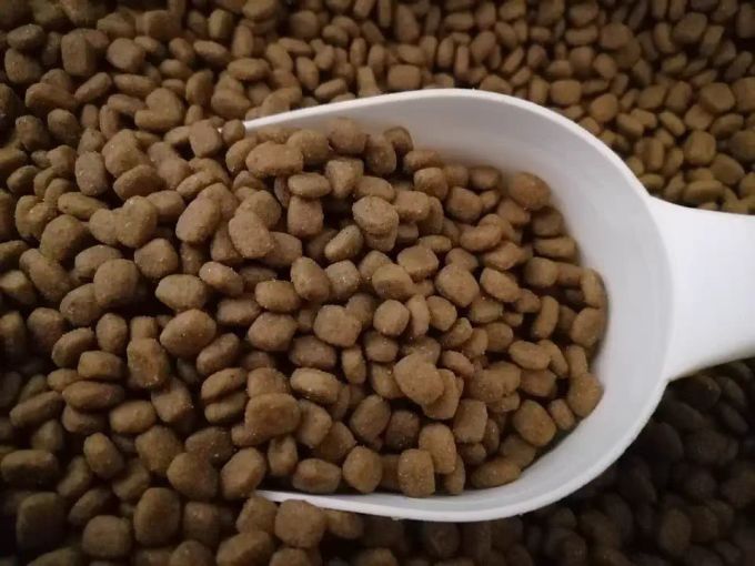 派得狗粮成犬通用型