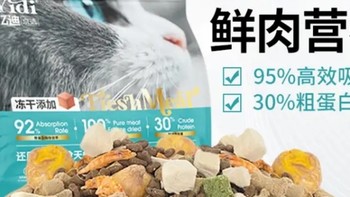 猫咪增肥秘籍！亿迪猫粮，让布偶蓝猫秒变健美达人