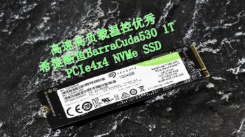 高速高负载温控优秀 希捷酷鱼BarraCuda530 PCIe4x4 M.2固态实测分享