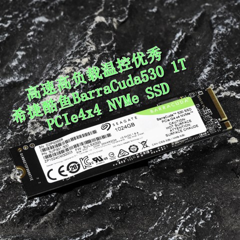 高速高负载温控优秀 希捷酷鱼BarraCuda530 PCIe4x4 M.2固态实测分享