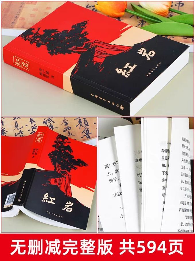 红岩一部让你欲罢不能的小说