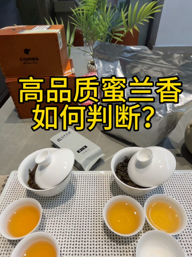 到底如何判断凤凰单丛蜜兰香的级别？