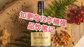 不负我爱，知更鸟12年桶强真不错！