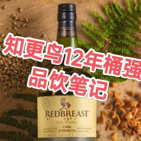 不负我爱，知更鸟12年桶强真不错！