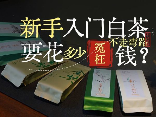 【茶叶入门】新手入门白茶，要花多少冤枉钱才行？入行十几年总结喝白茶最费钱的3大要点（全程干货，建议收藏）
