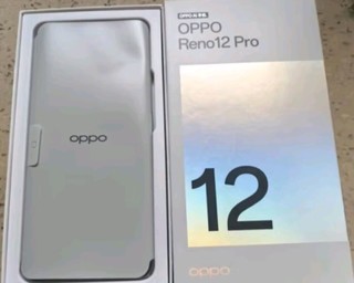 OPPO Reno12 Pro 超美小直屏 安卓Live图 天玑旗舰芯 16GB+512GB 银幻紫 新款智能游戏 AI拍照 5G手机