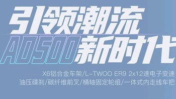 喜德盛电变公路自行车 AD500 评测：骑行爱好者的理想选择