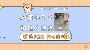 怀孕的妞为啥先买了一个机器人宝宝——石头P20 Pro新品测评