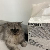 再次入手pidan猫砂，这次是2.4kg版本，和3.6kg版本有什么不同？