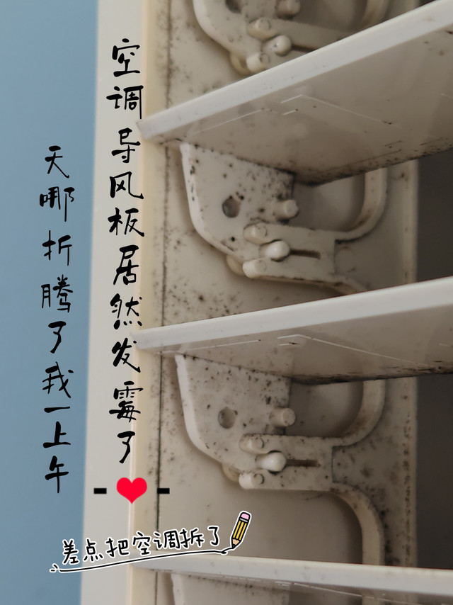 空调导风板长霉毛了！可不可以拆下来? 折腾半天我又干蠢事了😭