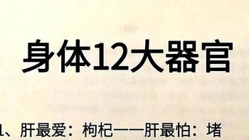 👀守护身体 12 大器官，健康生活轻松 get