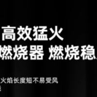 日本进口岩谷卡式炉户外便携式炉具露营迷你防风气灶瓦斯炉燃气灶