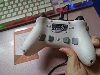 莱仕达p5入手，为了过switch的瘾，用手机和电脑模拟器玩switch，挺爽的