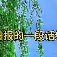 啥是双向奔赴的爱情