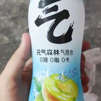 元气森林 盐系青梅 气泡水 480ml