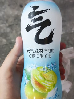 元气森林 盐系青梅 气泡水 480ml