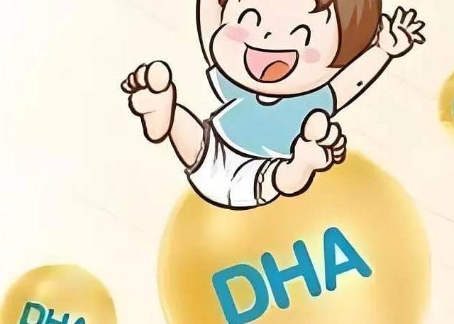 DHA吃了总比不吃好！
