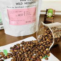 意式豆测评：野刺猬 草莓派｜小甜豆一枚