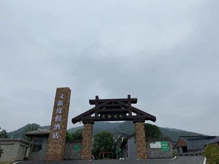 信阳旅途中的新玩意儿 ，12元/个文新信阳毛尖冰淇淋。