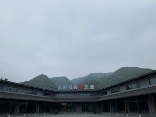 信阳旅途中的新玩意儿 ，12元/个文新信阳毛尖冰淇淋。