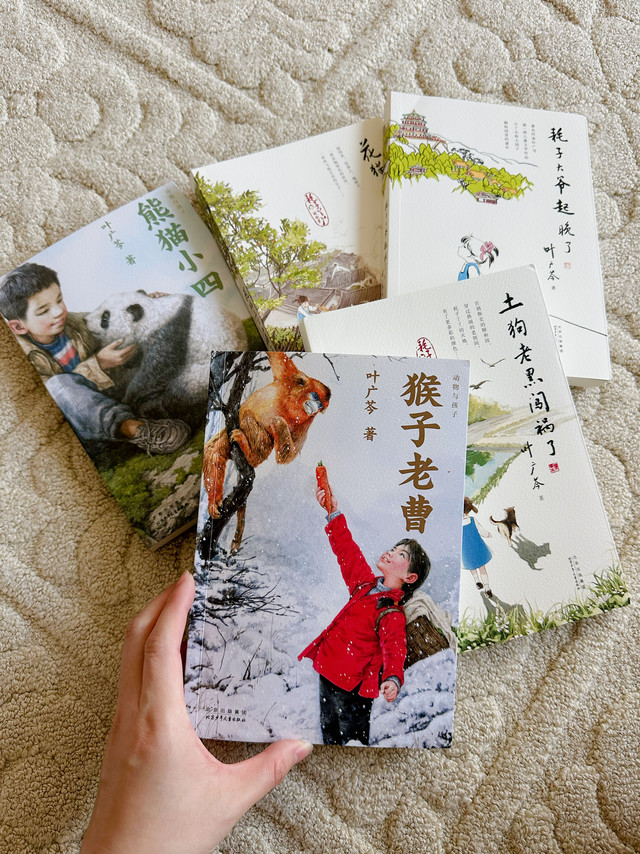 去山西玩的时候，团里妈妈给我推荐的小学生书单：叶广岑童书五部曲。这几天我正在看《猴子老曹》，多美在看《熊猫小四》，她很喜欢，经常边看边笑。熊猫这本是根据真实故事创作的，里面每个人物都有原型。叶广岑是一