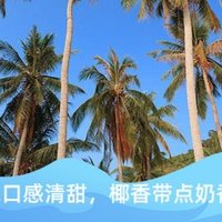 太慕越南进口100%椰子水，31.9元超值抢购！